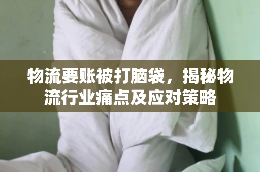 物流要账被打脑袋，揭秘物流行业痛点及应对策略