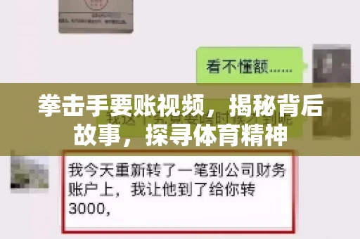 拳击手要账视频，揭秘背后故事，探寻体育精神