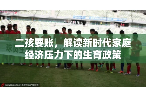 二孩要账，解读新时代家庭经济压力下的生育政策