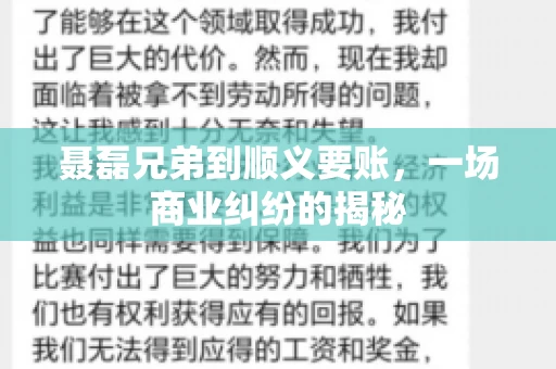 聂磊兄弟到顺义要账，一场商业纠纷的揭秘