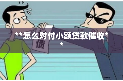 **怎么对付小额贷款催收**