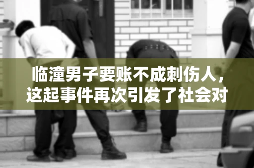 临潼男子要账不成刺伤人，这起事件再次引发了社会对讨债行为的关注。在这个故事中，我们不仅要了解事件的经过，还要思考如何避免类似悲剧的发生。