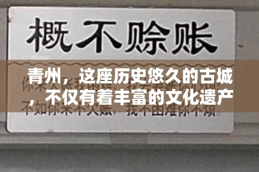 青州，这座历史悠久的古城，不仅有着丰富的文化遗产，还有着繁忙的经济活动。在商业往来中，难免会遇到一些欠款问题，这时候，找一家专业的要账公司就显得尤为重要。那么，青州有帮人要账的吗？答案是肯定的。下面，我就来为大家详细介绍一下青州地区的要账服务。
