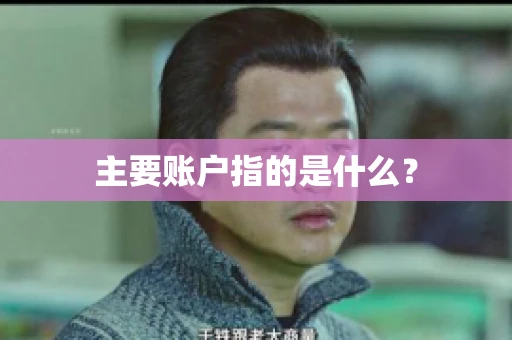 主要账户指的是什么? 主要账户指的是什么?