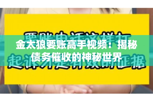 金太狼要账高手视频：揭秘债务催收的神秘世界