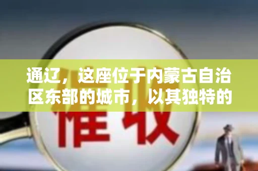 通辽，这座位于内蒙古自治区东部的城市，以其独特的地理位置和丰富的自然资源而闻名。然而，对于许多企业来说，通辽的另一个重要角色可能是其作为要账公司的聚集地。那么，通辽究竟有几家要账公司呢？今天，我们就来聊聊这个话题。