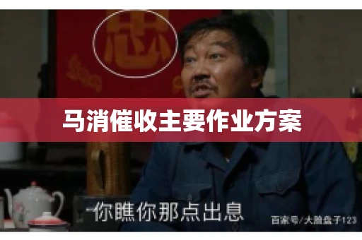 马消催收主要作业方案 马消催收主要作业方案