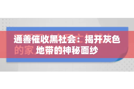 通善催收黑社会：揭开灰色地带的神秘面纱
