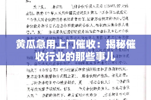 黄瓜急用上门催收：揭秘催收行业的那些事儿