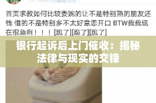 银行起诉后上门催收：揭秘法律与现实的交锋